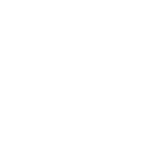 LIVIN Italy